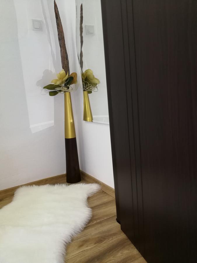 House Apartment Minerilor Cluj-Napoca Buitenkant foto