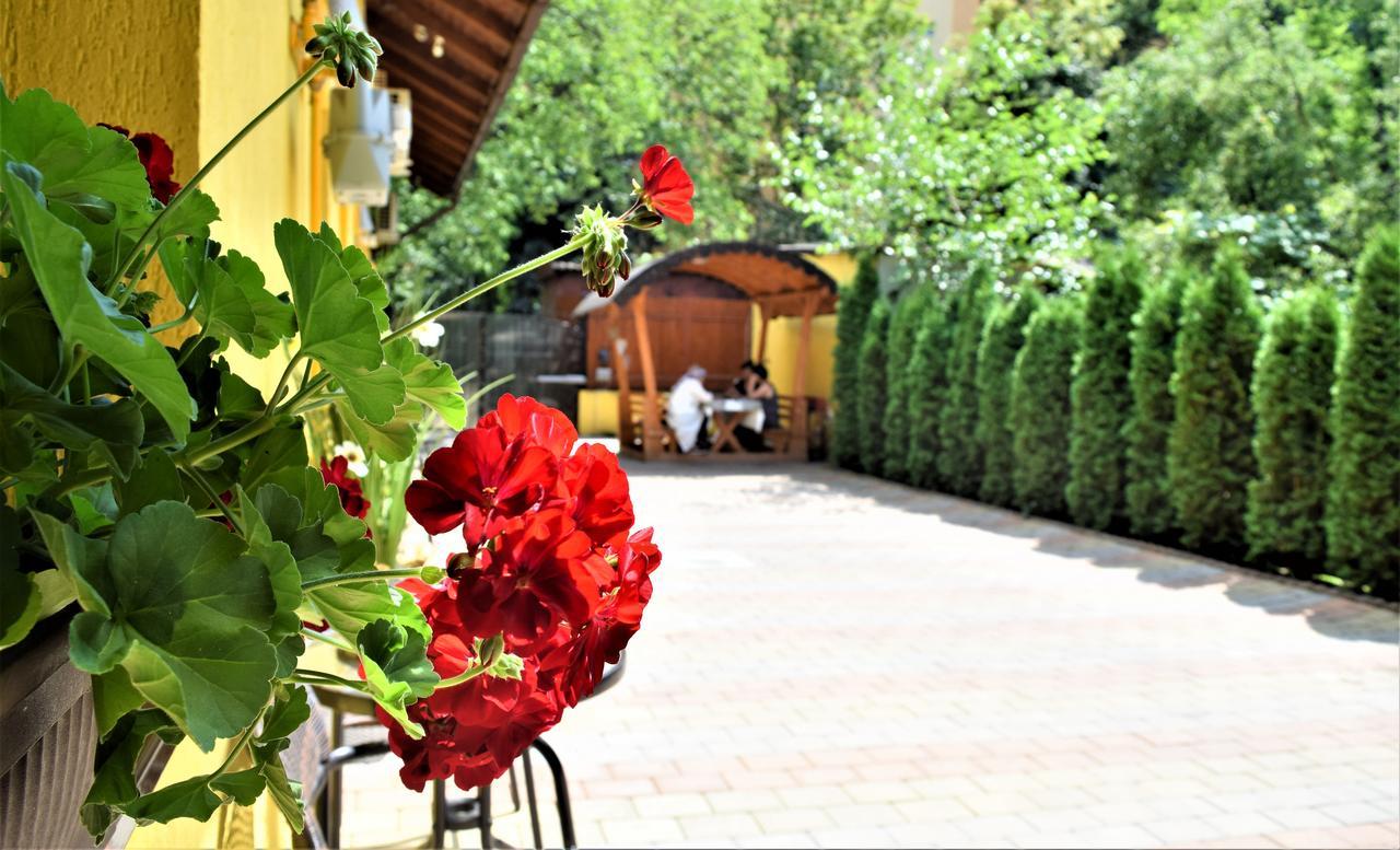 House Apartment Minerilor Cluj-Napoca Buitenkant foto
