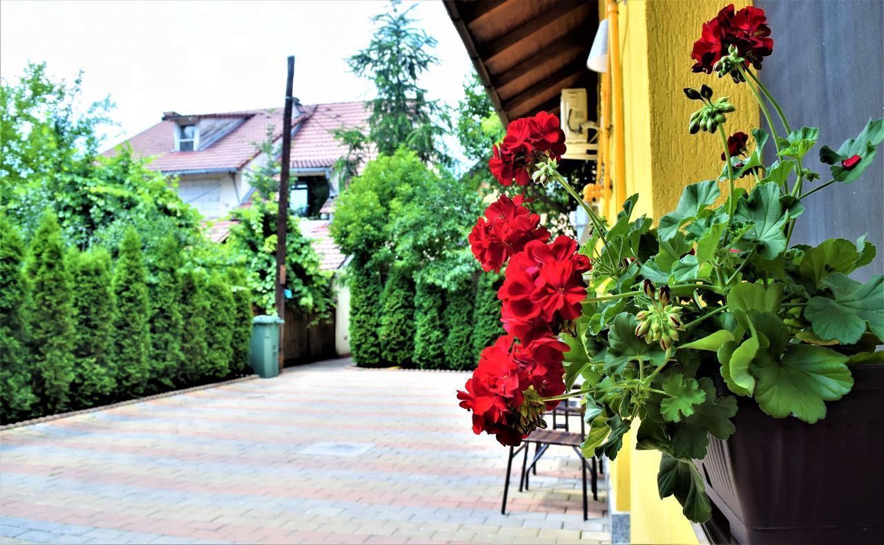 House Apartment Minerilor Cluj-Napoca Buitenkant foto